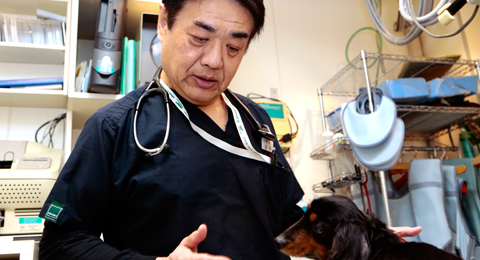 犬や猫の病気のことなら大阪市大正区の大正動物 医療センターへ